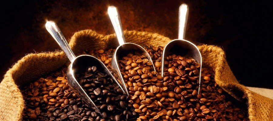 Gourmet Coffee: A Journey into the Finest Brews