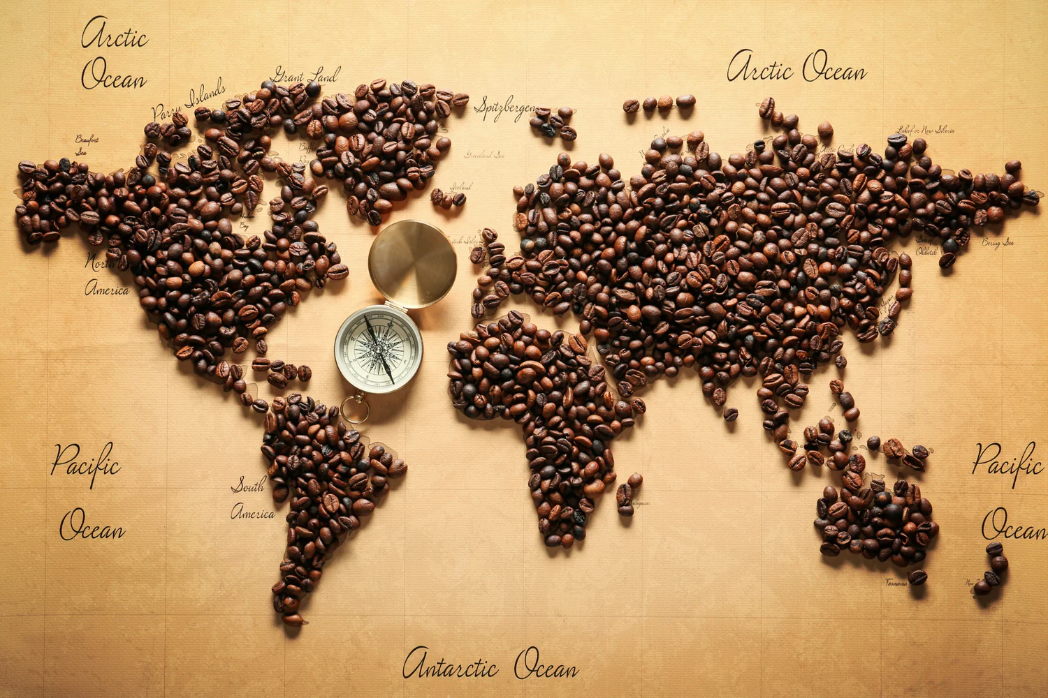 Exploring the Coffee Market in India: Opportunities and Insights