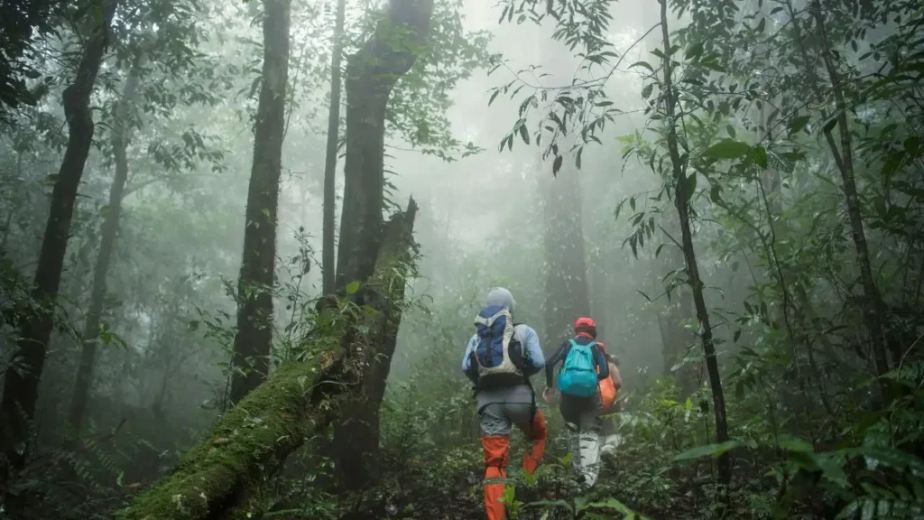 Monsoon+Trekking
