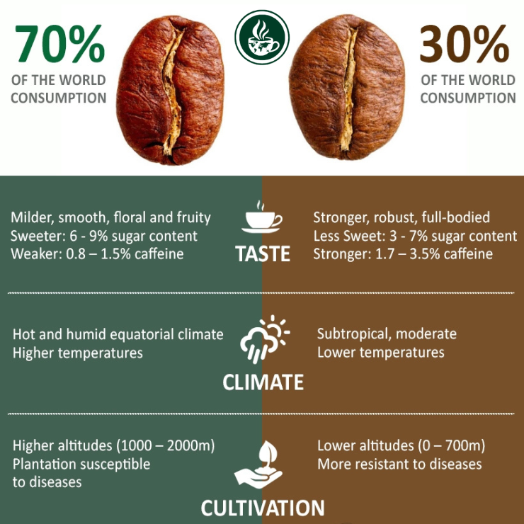 Robusta vs. Arabica