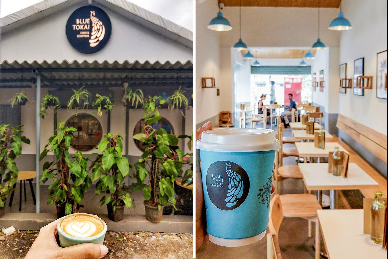 Blue Tokai Coffee Roasters