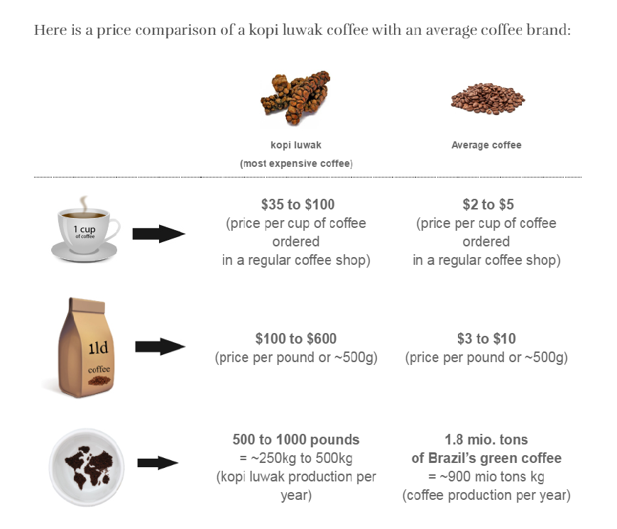 Luwak Coffee vs. Regular Coffee