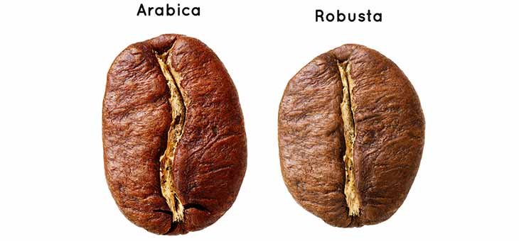 Arabica and robusta