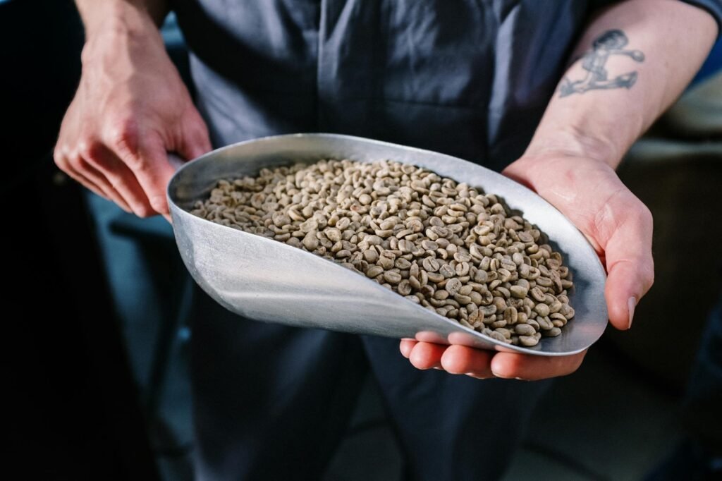 person holding brown beans in white ceramic bowl